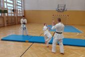 Pokaz karate