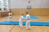 Pokaz karate