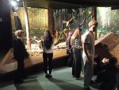 Uczniowie 3 TŻ i 3 AH w Muzeum Przyrodniczym w Białowieży