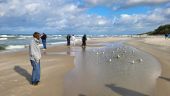 Outdoor education - zajęcia w hotelu nad Bałtykiem i lekcja historii na Westerplatte